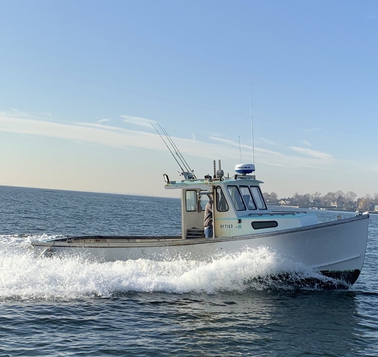 Picture Boat - Image 15